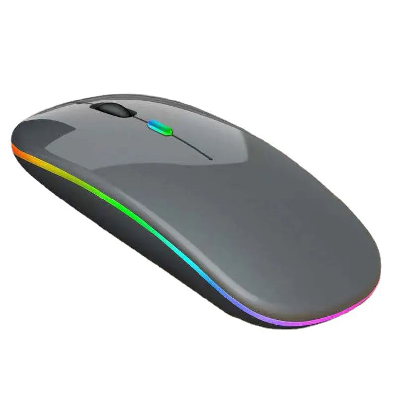 Souris Gamer PC
